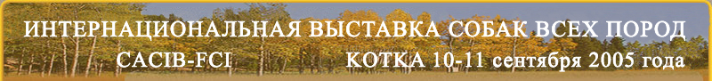Kotka KV 2005